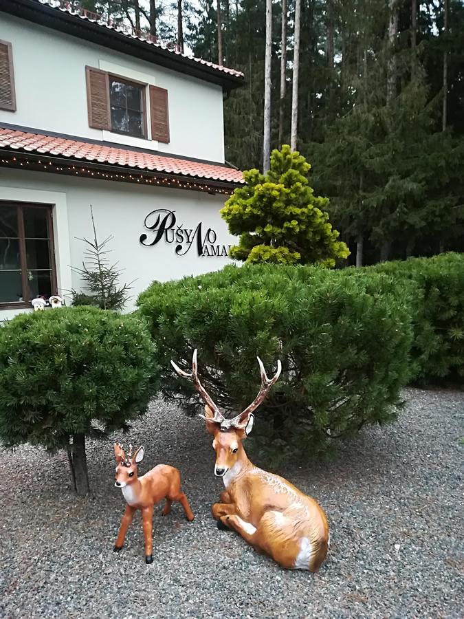 Hotel Pusyno Namai Tirkšliai Chambre photo